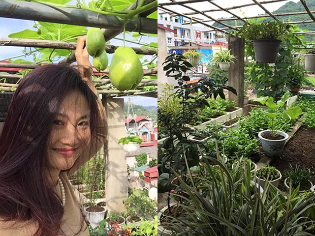Khu vườn đủ các loại rau quả, hoa cỏ từ thùng xốp của mẹ Việt